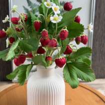 Земляника из холодного фарфора. Ручная работа, в Москве