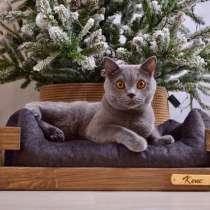 Именная лежанка для кошек и собак мелких пород 55х40 см, в Москве