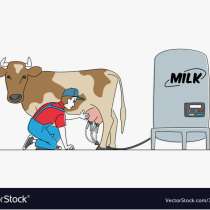 Доярка на ферму с проживанием, в Владимире