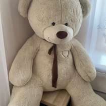 Большой медведь, в Красноярске