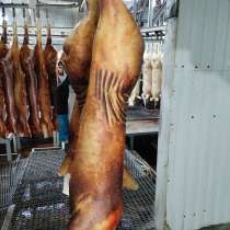 Оптовая продажа свинины, в Москве