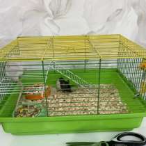 Отдам крыс в хорошие руки, в Москве