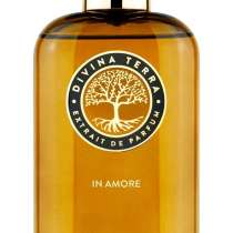 Парфюм DiVina Terra in amore (Baccarat Rouge 540), в Тюмени