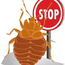 Клопы. Борьба с любым видом клопов. Профессионалы. Скидки, в Москве