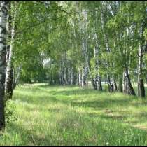 Продаю участок, 15 соток, рядом лес, две речки, развитая инф, в Москве