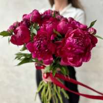 Flori care spun povestea iubirii, в Ялте